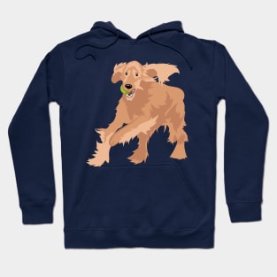 Irish Setter Hoodie